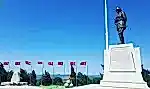 Serpil Değerli 